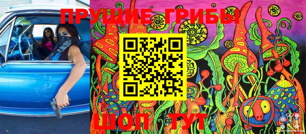 Советская Гавань  Галлюциногенные грибы Psilocybine cubensis  Вход с VPN 